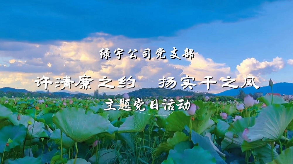 許清廉之約  揚(yáng)實(shí)干之風(fēng)——綠宇公司黨支部主題黨日活動(dòng)